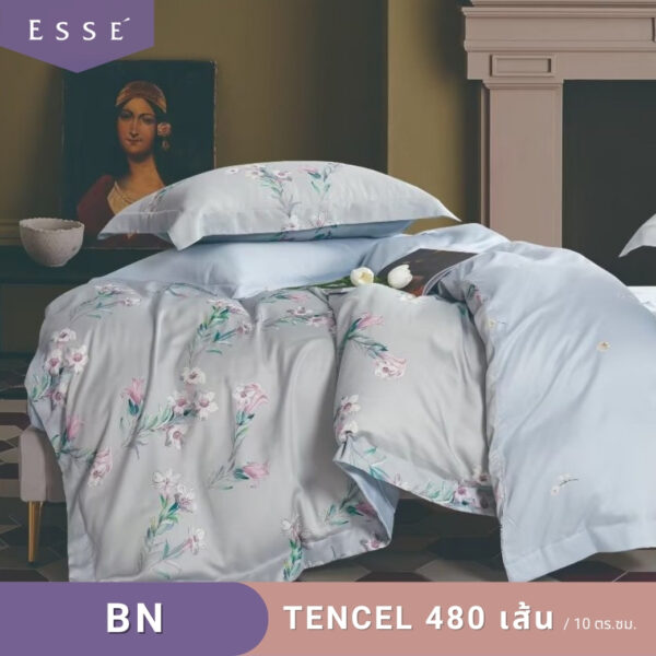 BN